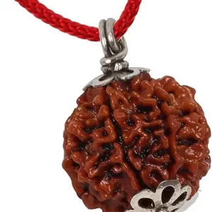 4 mukhi nepali rudraksh