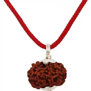 8 mukhi rudraksh